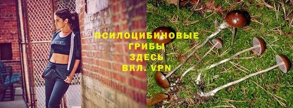 PSILOCYBIN Володарск